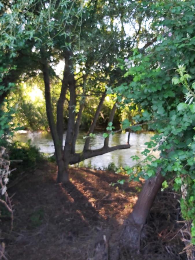 Durmiendo Entre Arboles, Bonita Cabana En La Rioja Villa Anguciana Eksteriør billede