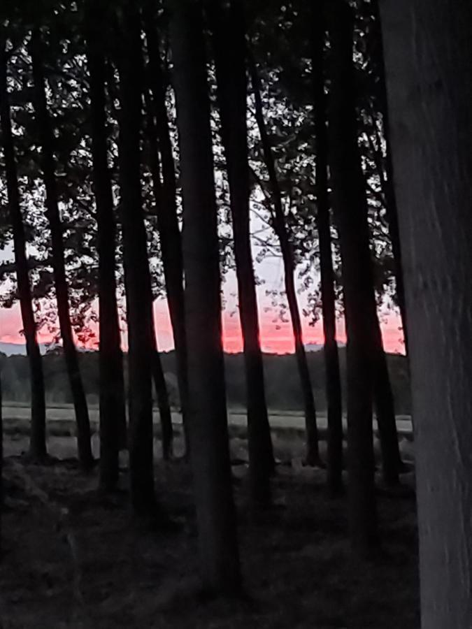 Durmiendo Entre Arboles, Bonita Cabana En La Rioja Villa Anguciana Eksteriør billede