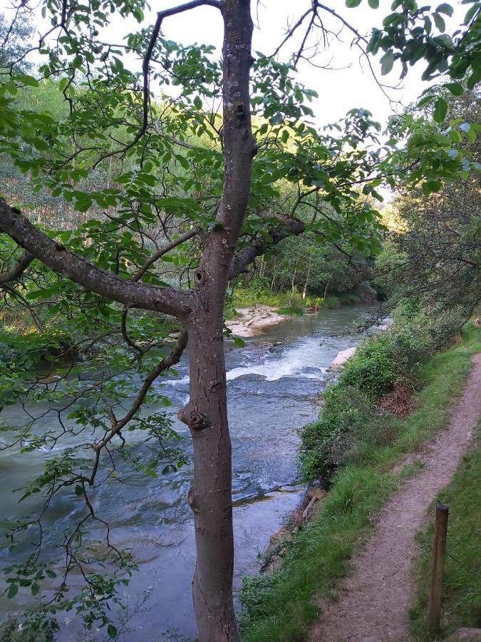 Durmiendo Entre Arboles, Bonita Cabana En La Rioja Villa Anguciana Eksteriør billede